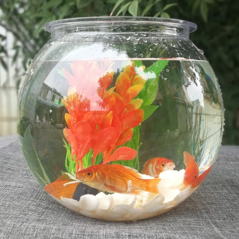 Planted Aquarium For Goldfish - Akvaryum balığı kase masaüstü şeffaf plastik