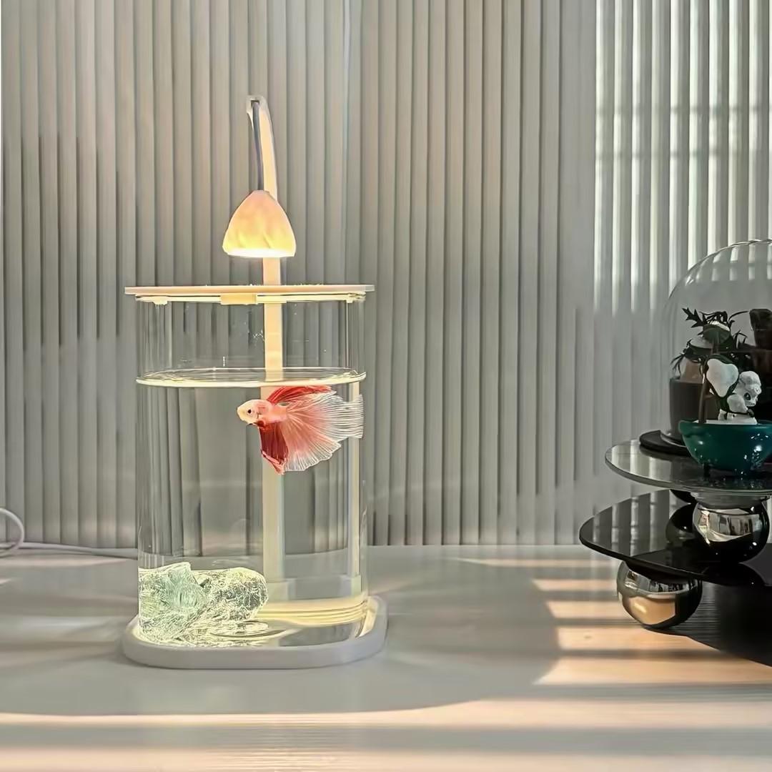 Planted Aquarium For Goldfish - 360 ° Panoramik Şeffaf Masaüstü Balık
