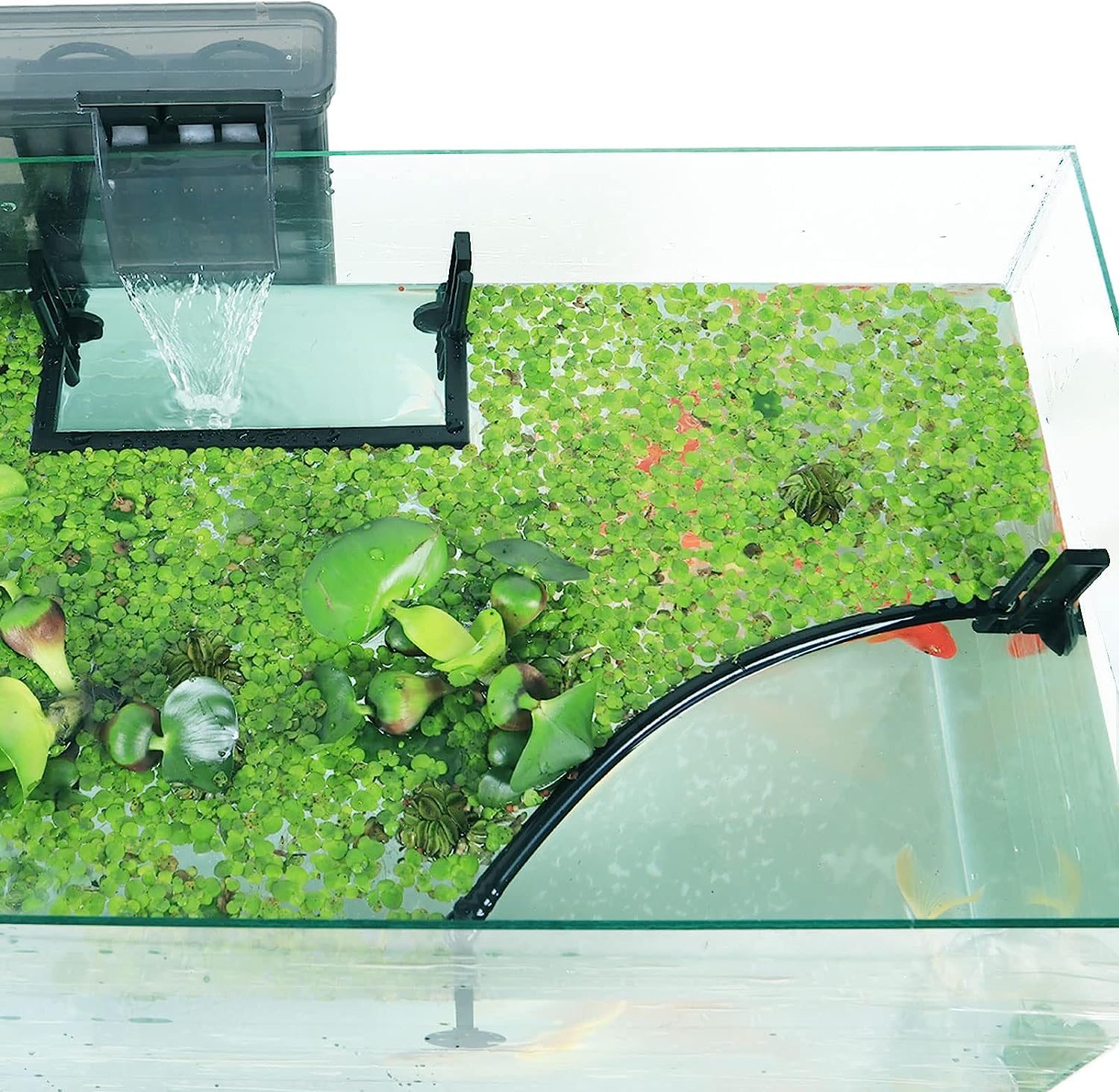 Planted Aquarium Heater - Akvaryum yüzen bitki Corral, filtrelerden ve