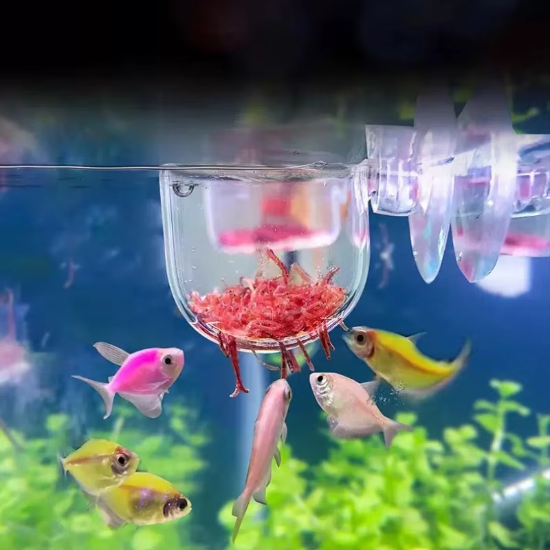 Aquarium Plant Factory - Fabrika Akvaryum Dekorasyonu Asılı Balık Tankı