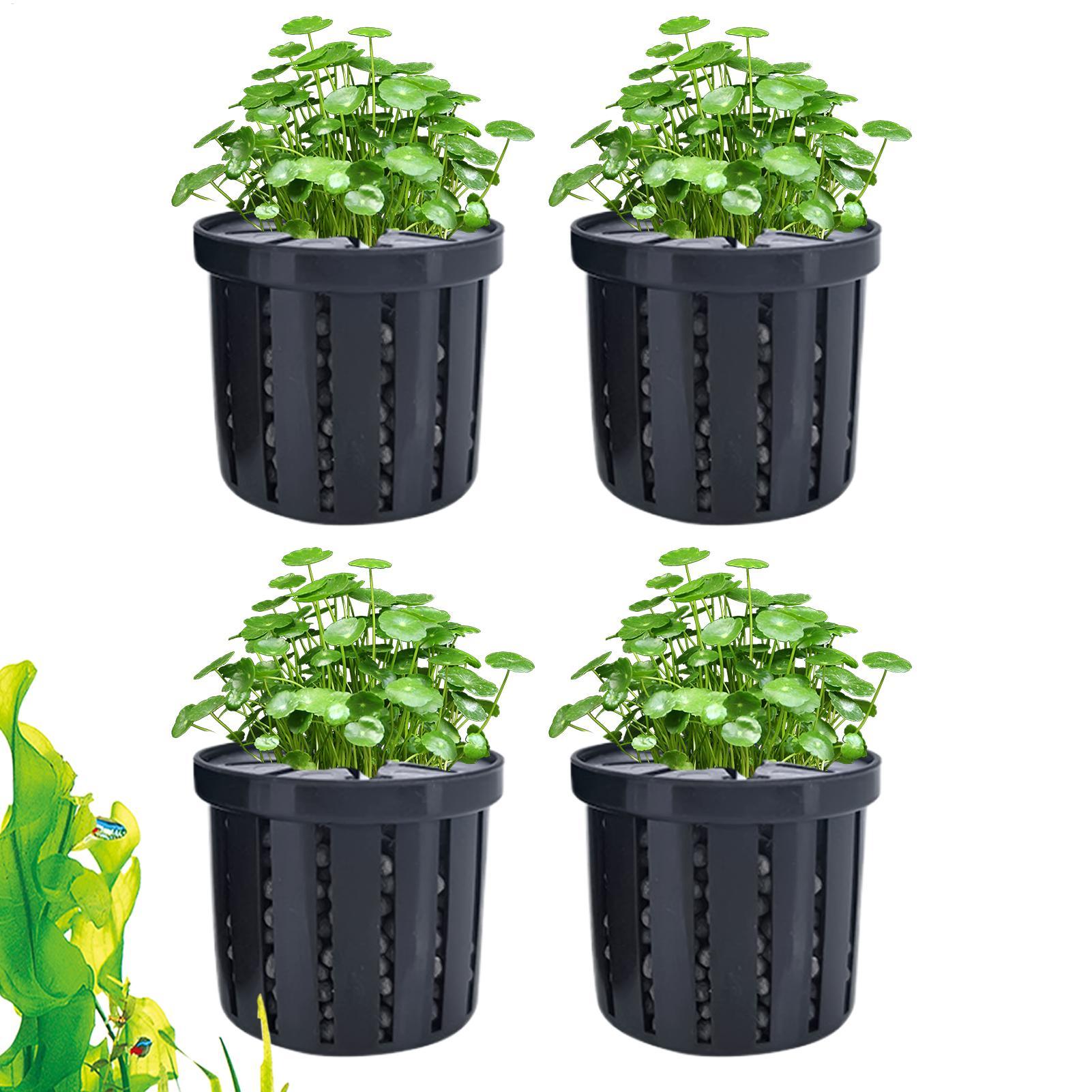 Aquarium Plant Growth - 4 adet akvaryum saksı süngeri vantuzlu,