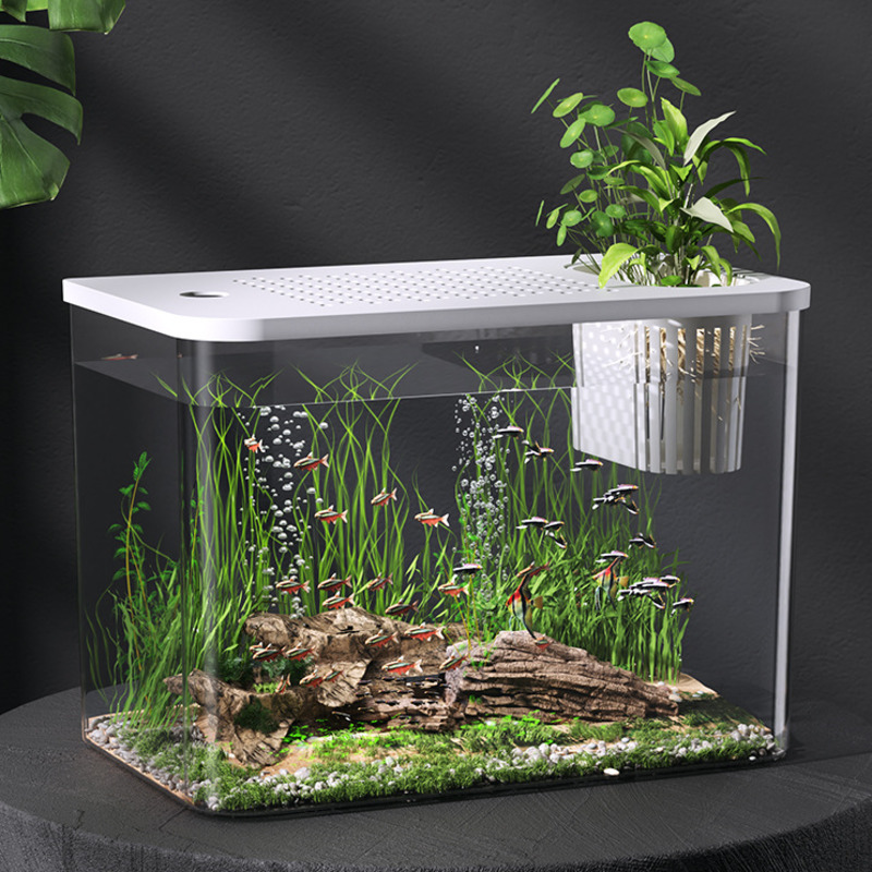 Planted Aquarium For Goldfish - Kapaklı Plastik Akvaryum, Şeffaf Mini Masaüstü