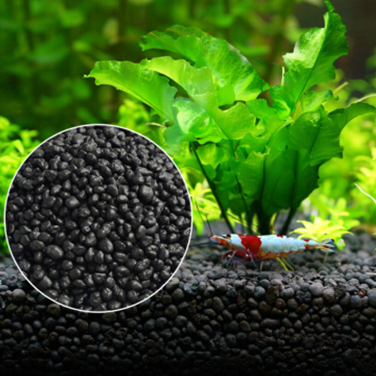 Aquarium Plant Nursery - Akvaryum bitki tohumları toprak balık tankı