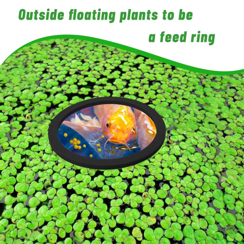Planted Aquarium For Goldfish - Balık Tankı için Eva Köpük Yüzen