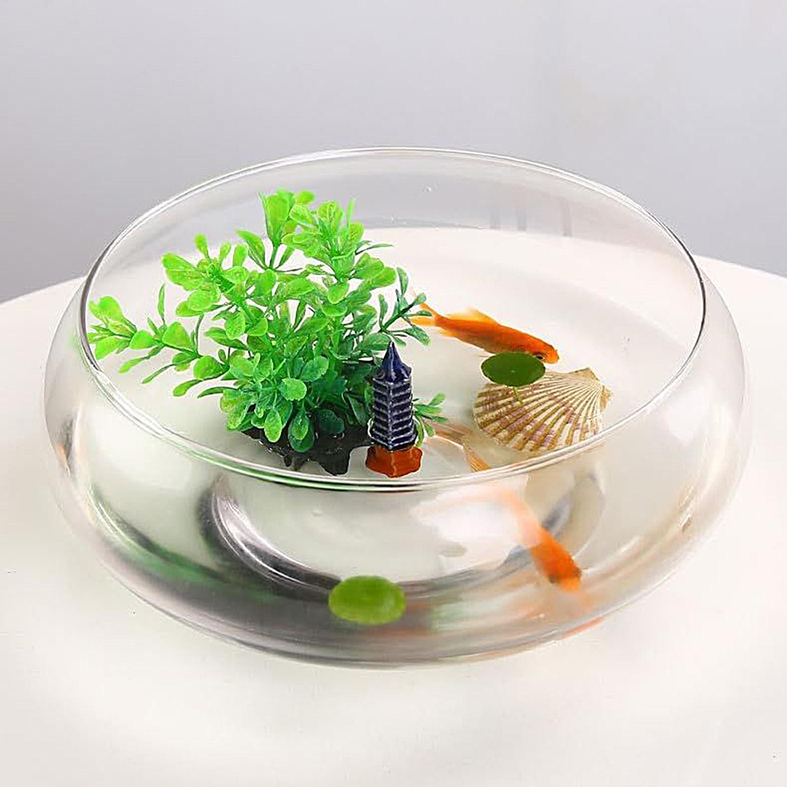 Planted Aquarium For Goldfish - Balık Cam Kase Büyük Hidroponik Çiçek