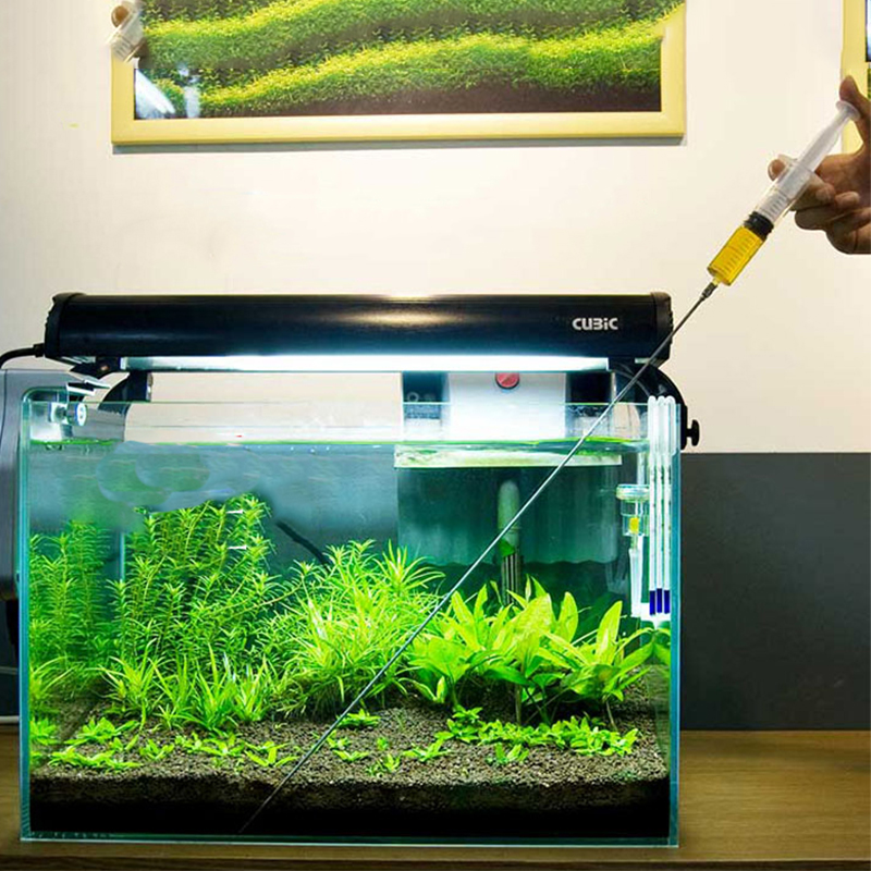 Aquarium Plant Growth - 30cm 50cm akvaryum bitkileri büyüme sağlıklı