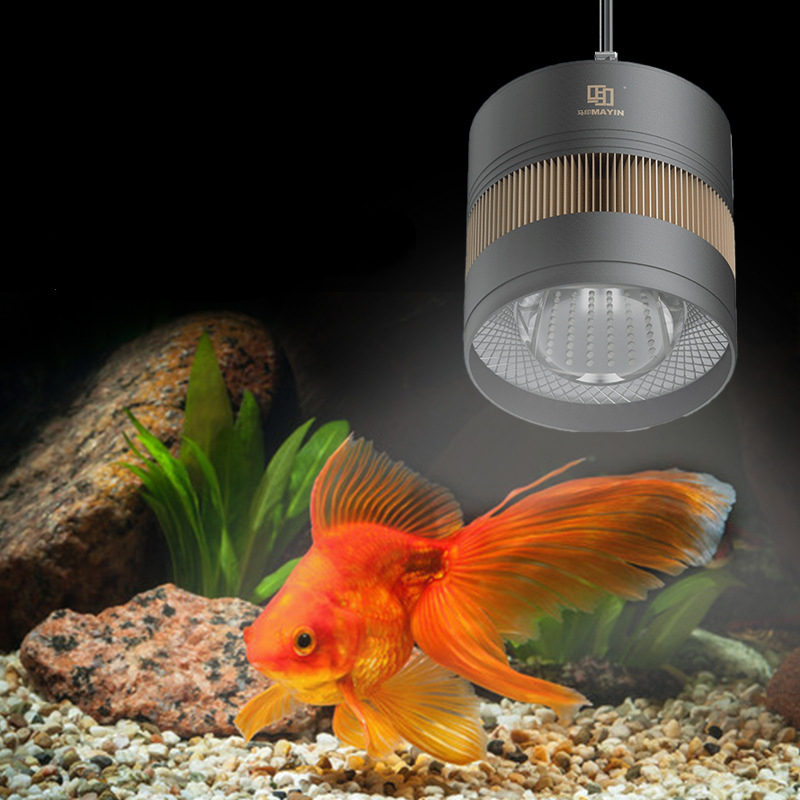 Planted Aquarium For Goldfish - MAYIN Akvaryum Tam Spektrumlu Led Downlight