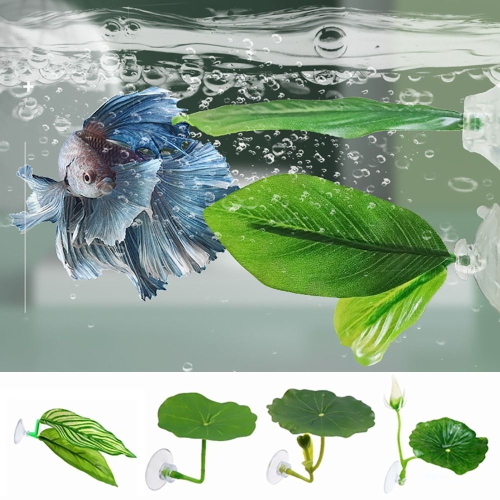 Plastik Betta Balığı Dinlenme  - Aquarium Plant Growth incelemesi ve fiyatı