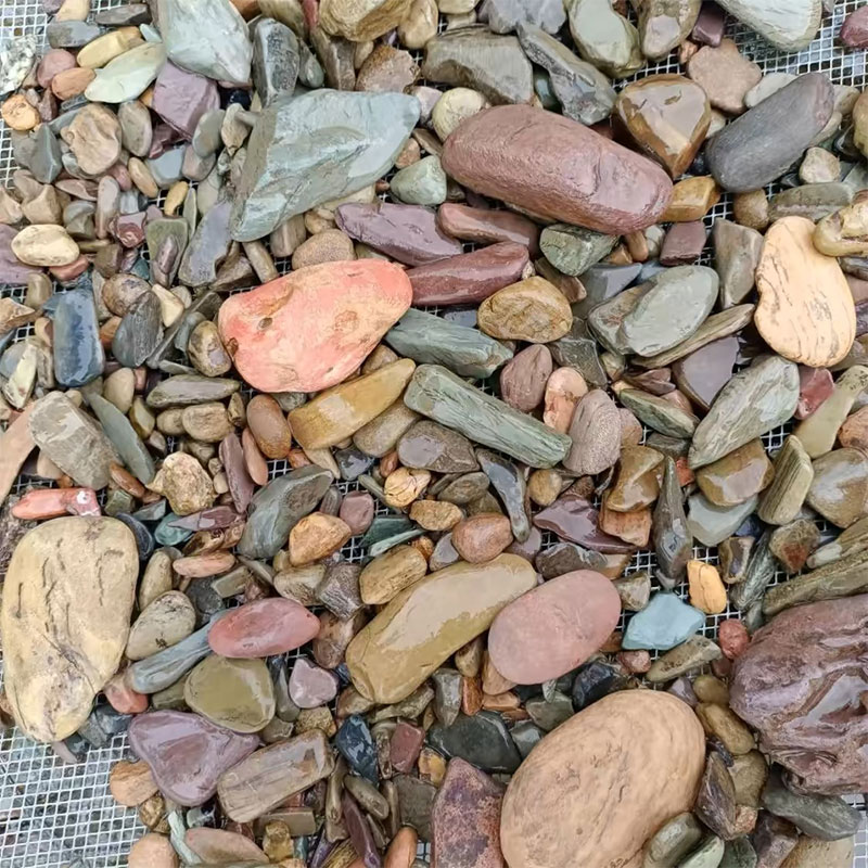 500g Balık Tankı Alt Kum Taşı  - Aquarium Planted Sand incelemesi ve fiyatı