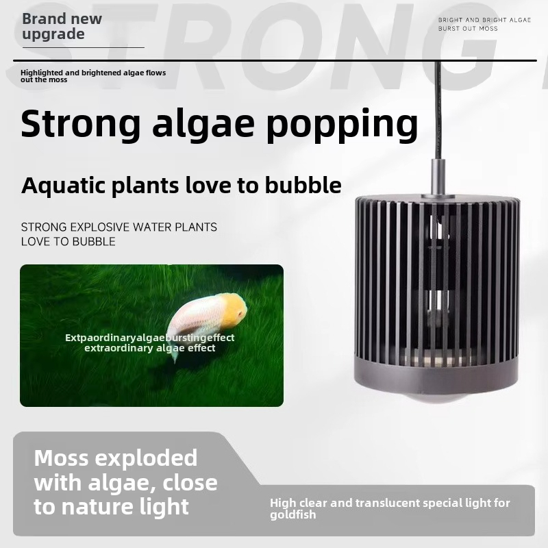 Skynuo Süper Renk 100 W Tatlı  - Planted Aquarium For Goldfish incelemesi ve fiyatı