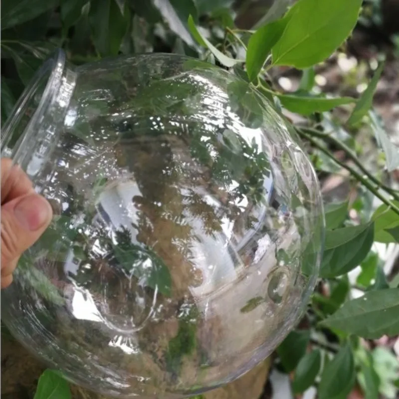 Akvaryum balığı kase masaüstü  - Planted Aquarium For Goldfish incelemesi ve fiyatı