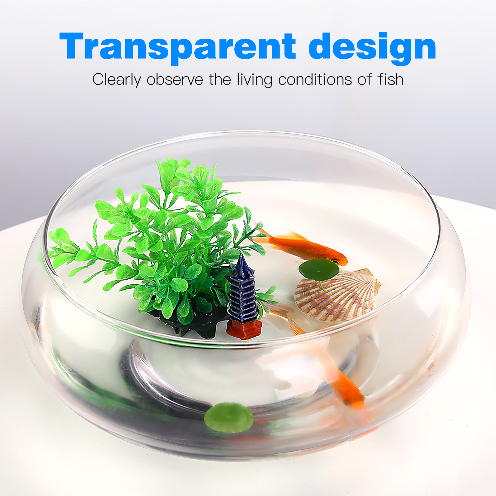 2800Ml Şeffaf Masaüstü Akvaryu - Planted Aquarium For Goldfish incelemesi ve fiyatı