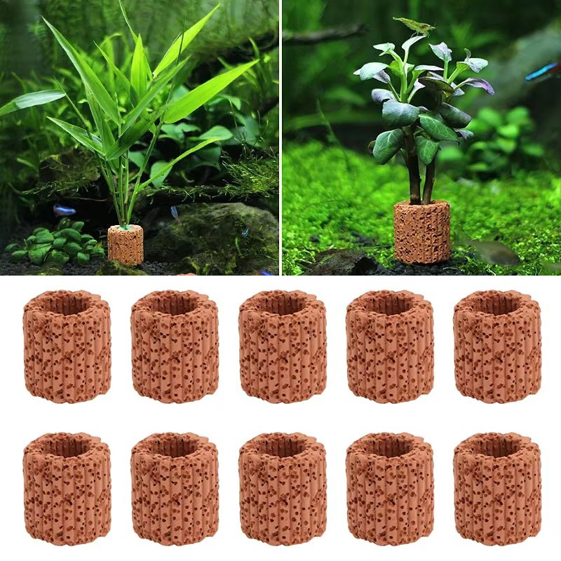 Su bitkisi sabit halka akvaryu - Aquarium Plant Growth incelemesi ve fiyatı