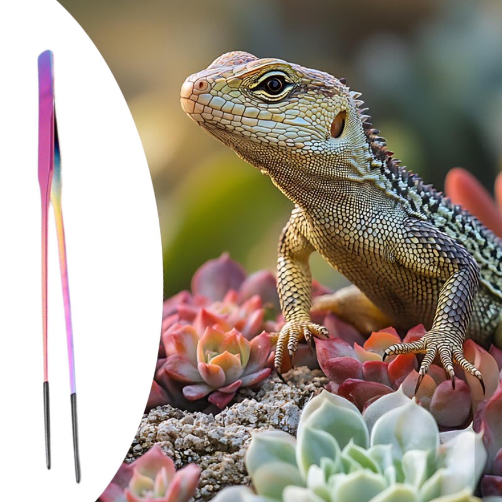 Sürüngen Besleme Maşası Yumuşa - Planted Aquarium Tips incelemesi ve fiyatı