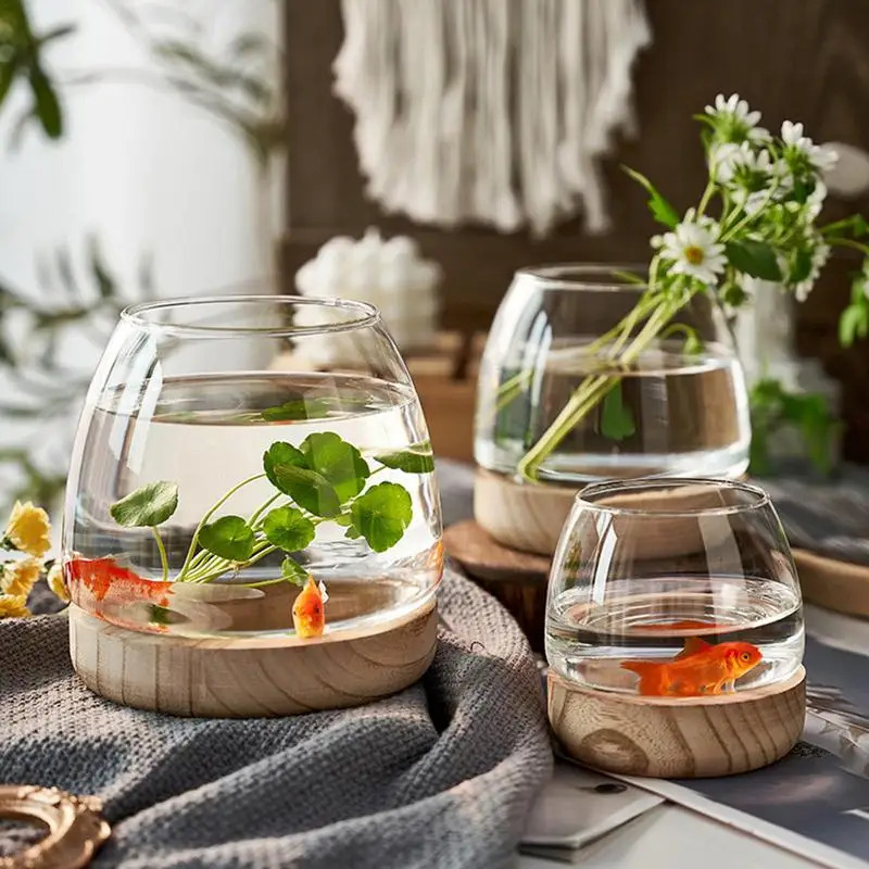 Ahşap Tabanlı Dekoratif Yuvarl - Planted Aquarium For Goldfish incelemesi ve fiyatı