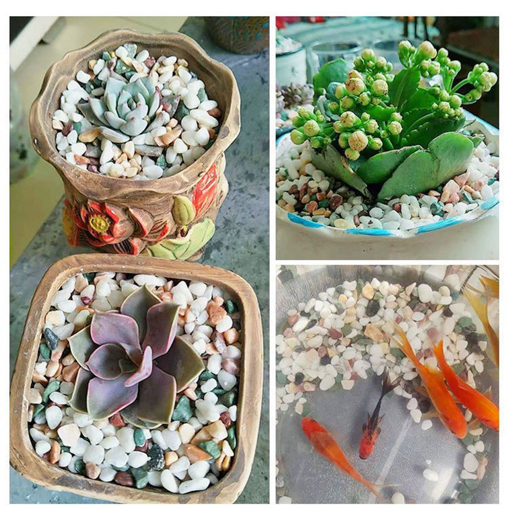 50/100g Doğal Kristaller çakıl - Aquarium Planted Sand incelemesi ve fiyatı