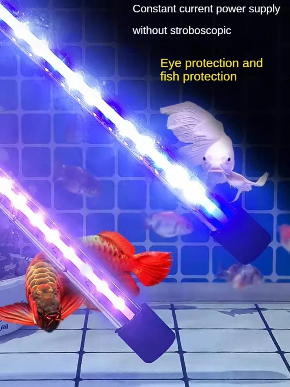 LED Balık Tankı Işığı, Dalış B - Aquarium Plant Red incelemesi ve fiyatı