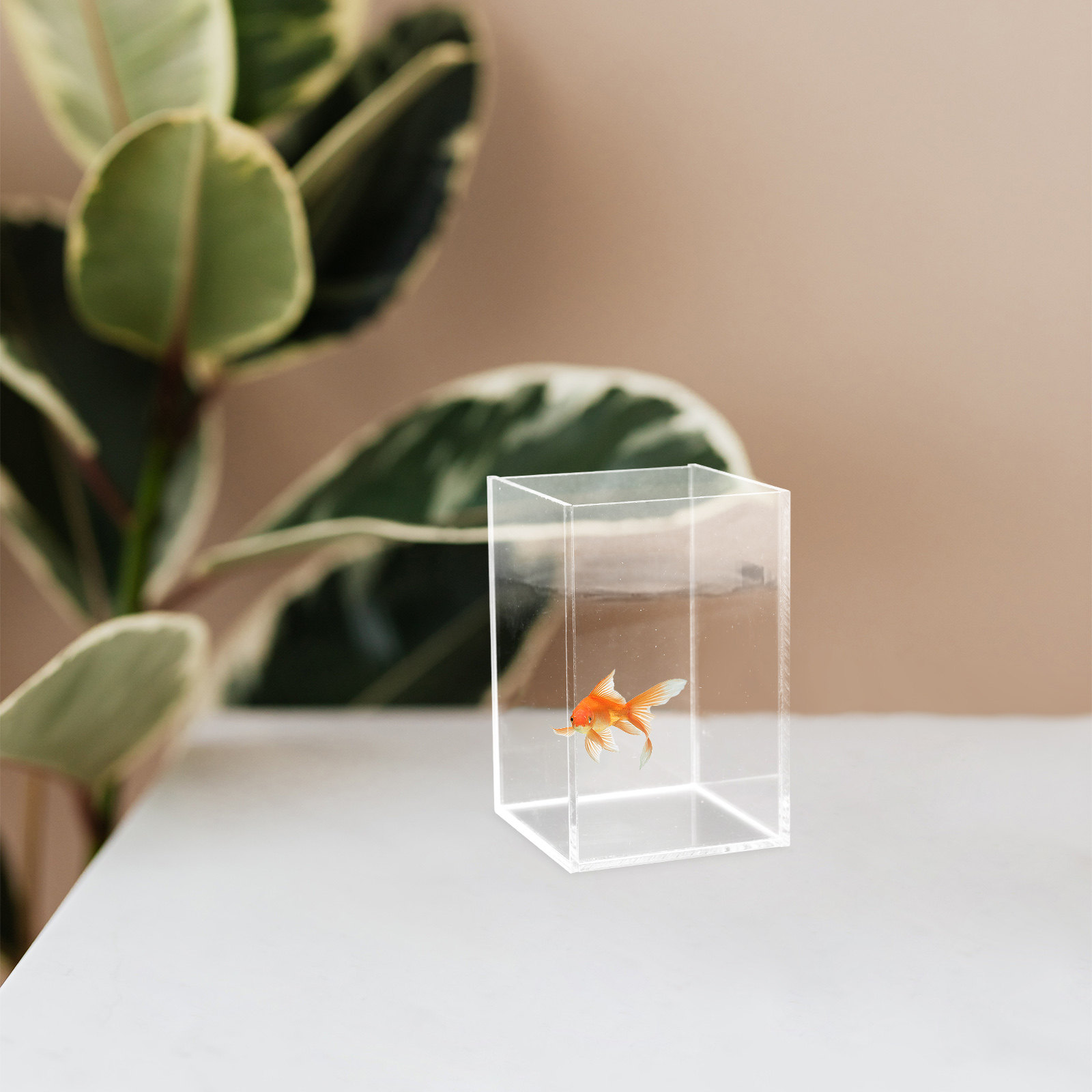 Sağlam Akrilik Masaüstü Akvary - Planted Aquarium For Goldfish incelemesi ve fiyatı