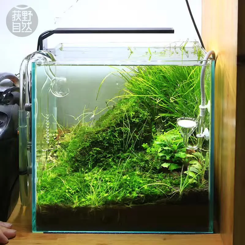 Spirürler C Serisi ADA Tarzı B - Aquarium Plant Growth incelemesi ve fiyatı
