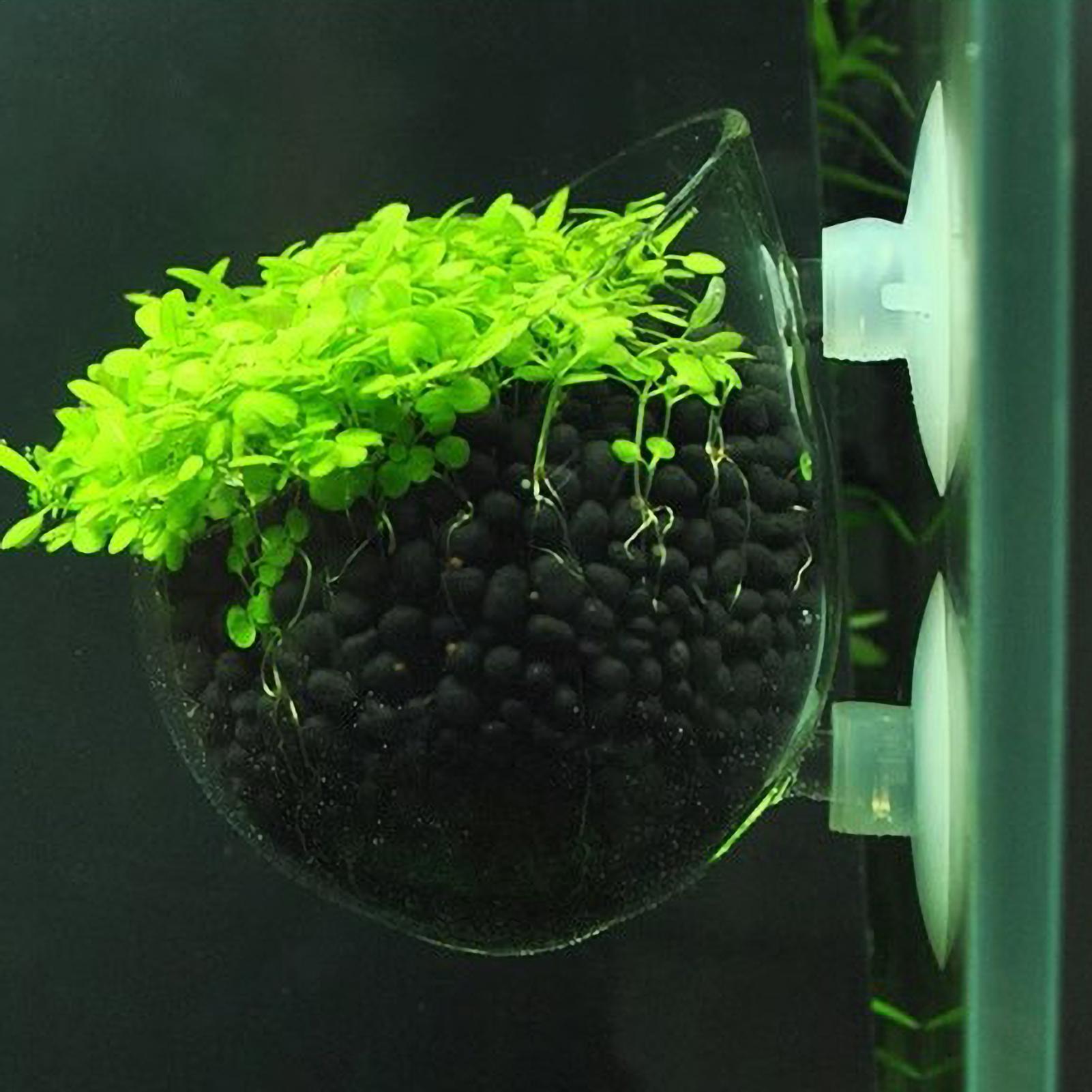 Vakumlu Bardaklı Akvaryum Cam  - Planted Aquarium Maintenance incelemesi ve fiyatı