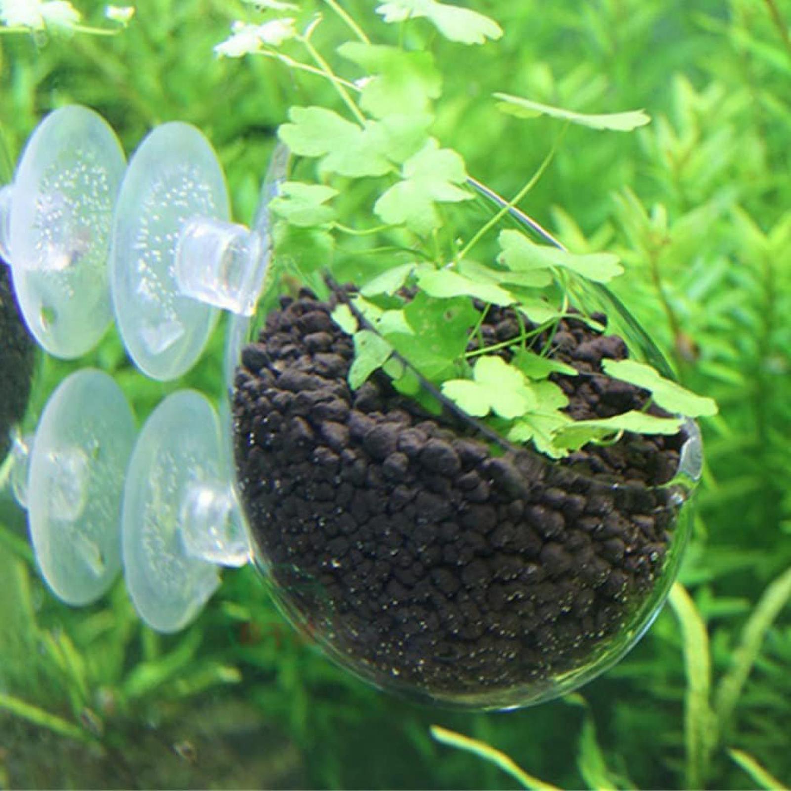 Vakumlu Bardaklı Akvaryum Cam  - Planted Aquarium Maintenance incelemesi ve fiyatı