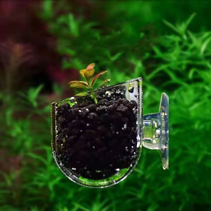 Balık Tankı Kırmızı Solucan Be - Aquarium Plant Red incelemesi ve fiyatı