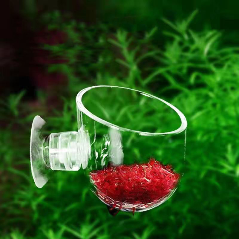 Balık Tankı Kırmızı Solucan Be - Aquarium Plant Red incelemesi ve fiyatı