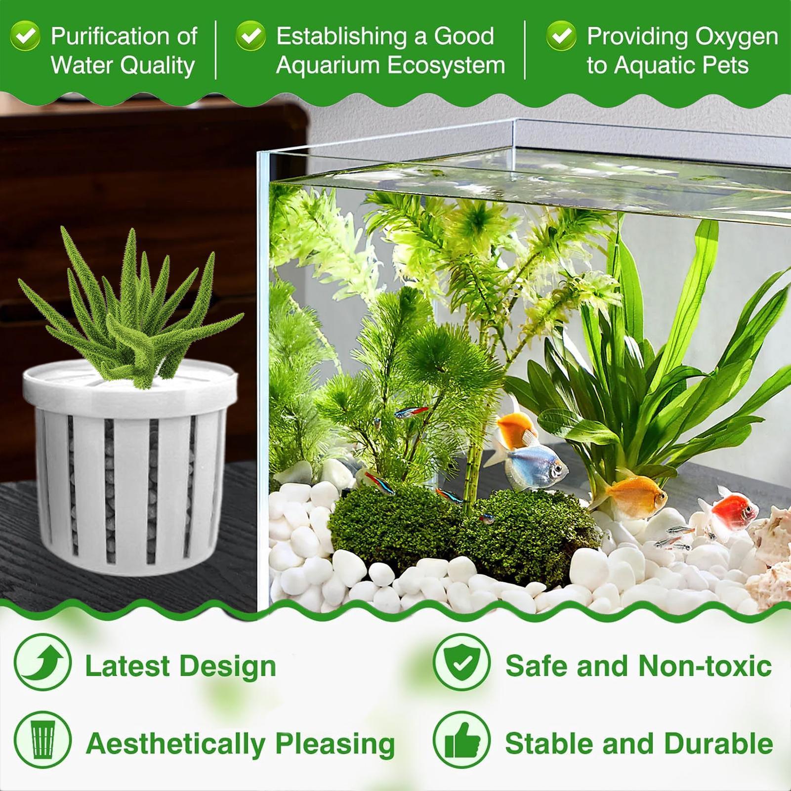 4 adet akvaryum saksı süngeri  - Aquarium Plant Growth incelemesi ve fiyatı