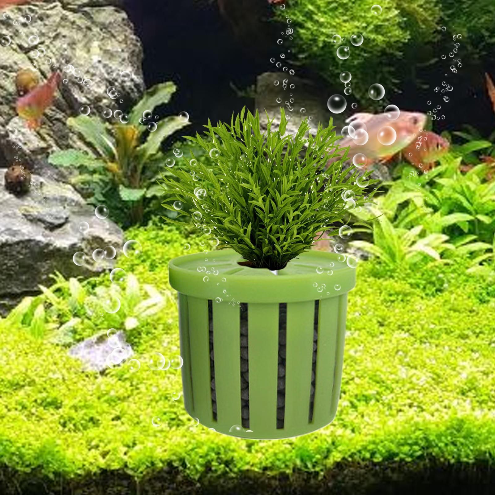 4 adet akvaryum saksı süngeri  - Aquarium Plant Growth incelemesi ve fiyatı