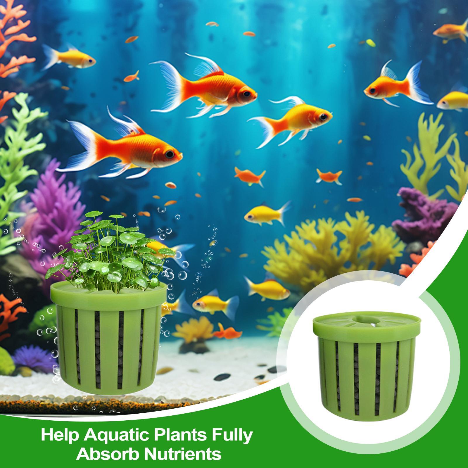 4 adet akvaryum saksı süngeri  - Aquarium Plant Growth incelemesi ve fiyatı