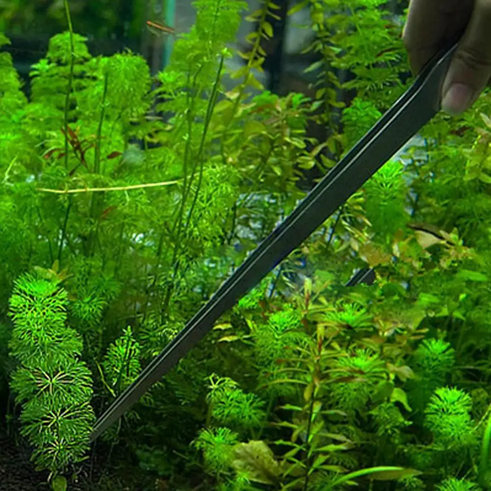 Evrensel 27CM akvaryum bitki k - Planted Aquarium Maintenance incelemesi ve fiyatı