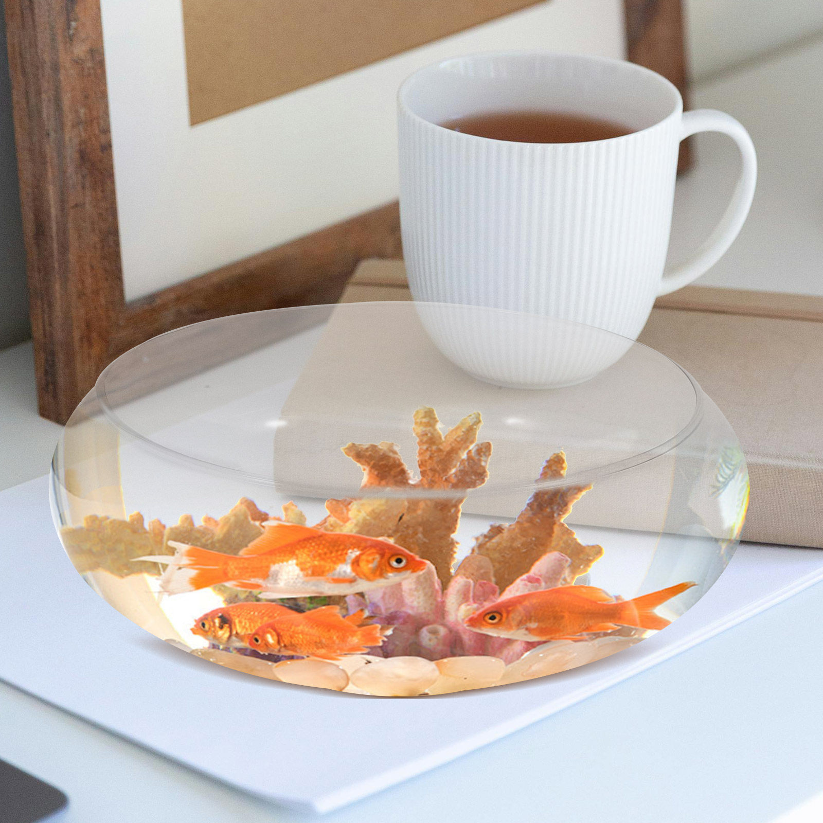 Cam Balık Akvaryumu Küçük Balı - Planted Aquarium For Goldfish incelemesi ve fiyatı