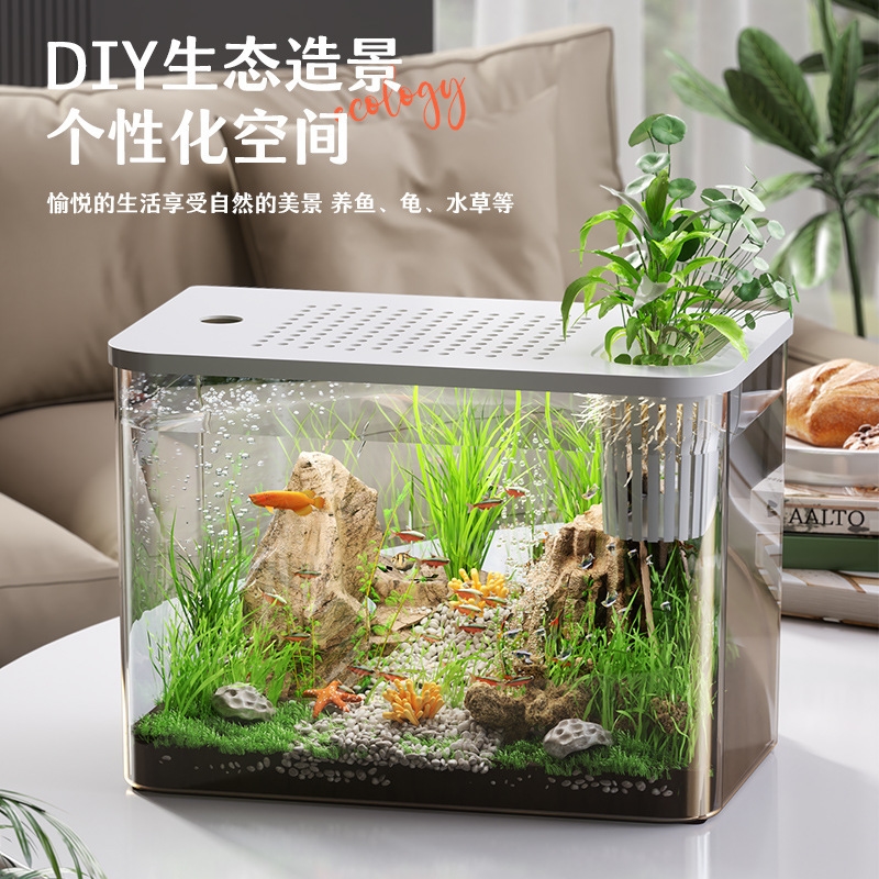 Kapaklı Plastik Akvaryum, Şeff - Planted Aquarium For Goldfish incelemesi ve fiyatı