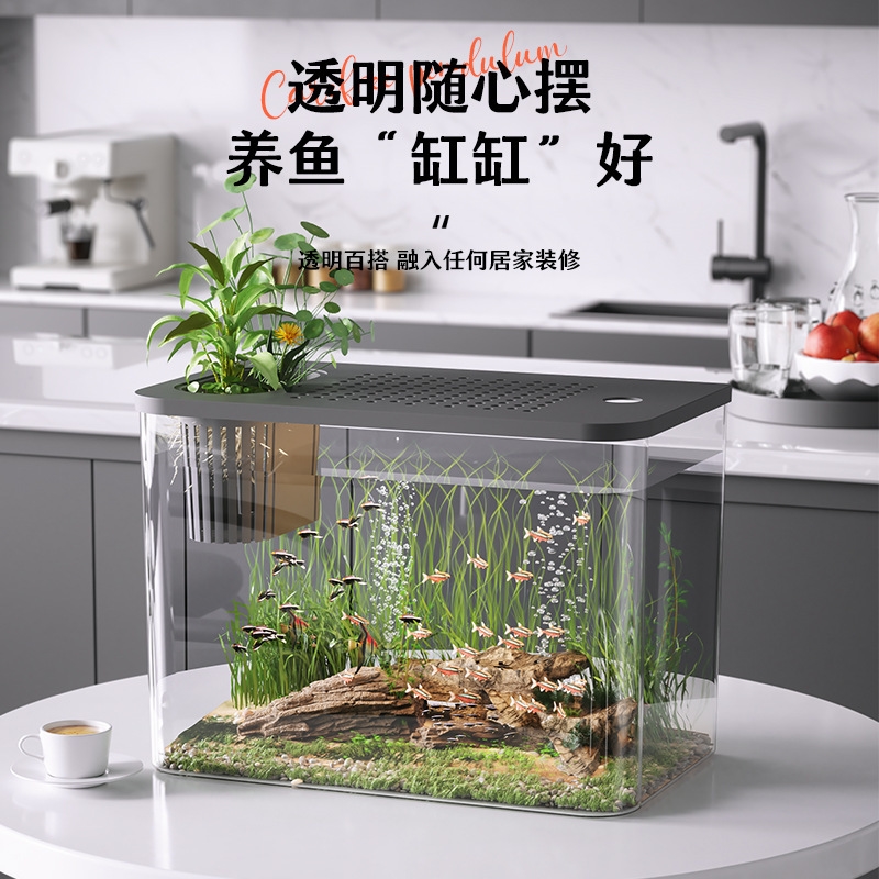 Kapaklı Plastik Akvaryum, Şeff - Planted Aquarium For Goldfish incelemesi ve fiyatı