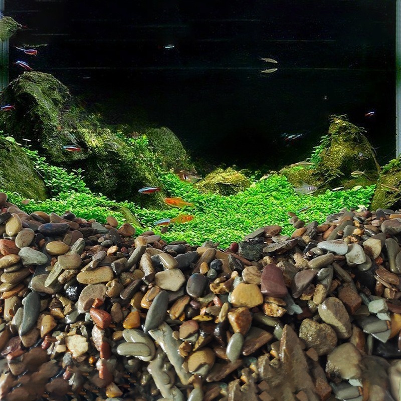 Akvaryum Taban Kumu Doğal Su P - Aquarium Planted Sand incelemesi ve fiyatı