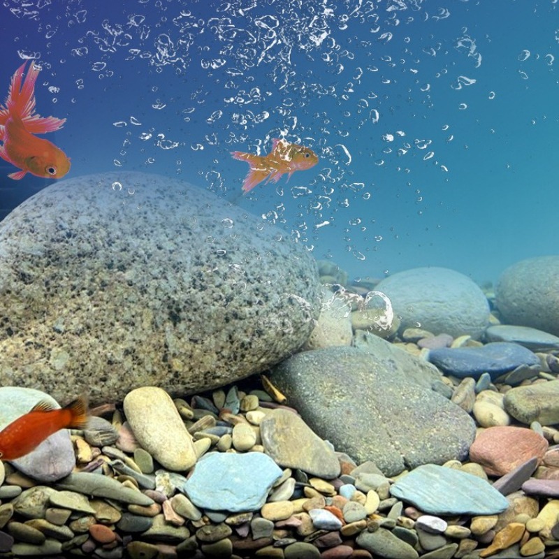 Akvaryum Taban Kumu Doğal Su P - Aquarium Planted Sand incelemesi ve fiyatı