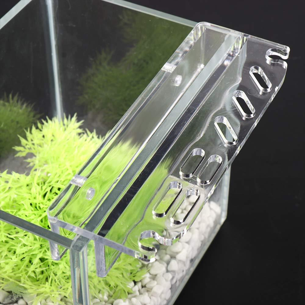 Temizlik Aletleri Aksesuarları - Planted Aquarium Maintenance incelemesi ve fiyatı