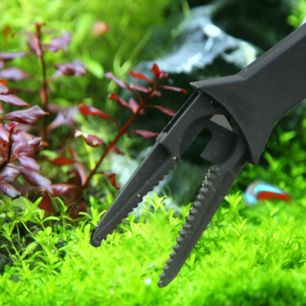 Akvaryum Su Bitkisi Cımbızı Uz - Planted Aquarium Maintenance incelemesi ve fiyatı