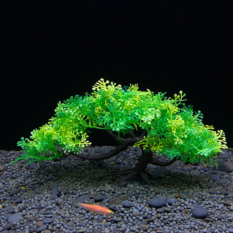 Akvaryum bonsai ağacı, bitki,  - Planted Aquarium For Goldfish incelemesi ve fiyatı