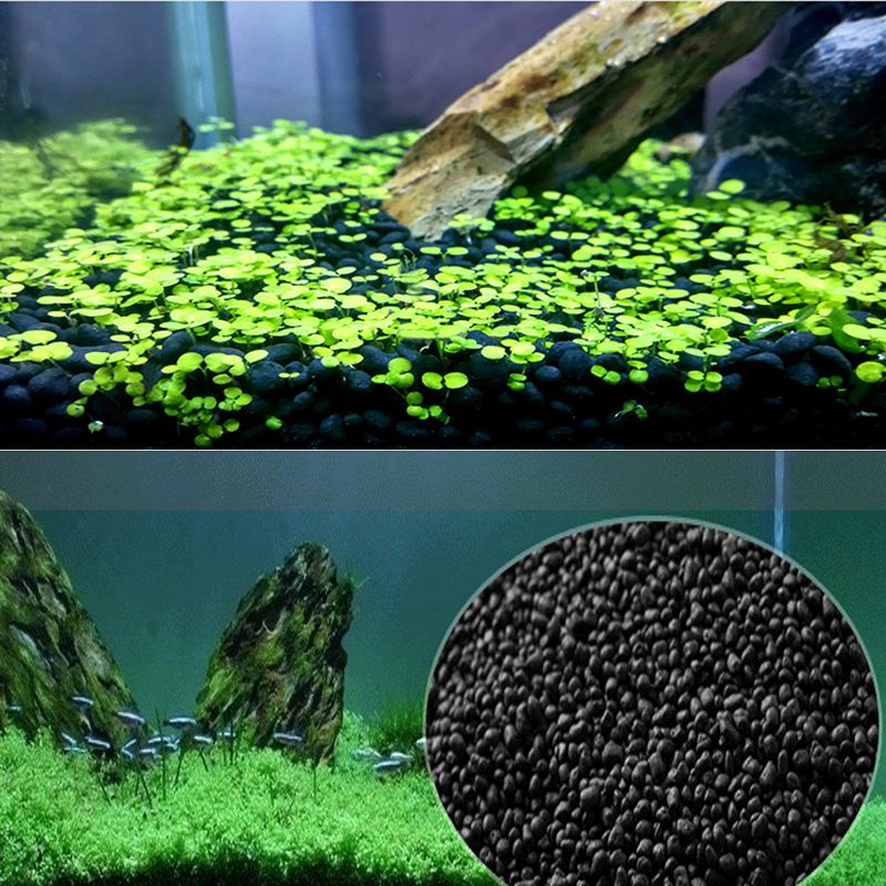 Balık Kumu Akvaryum Substrat 1 - Aquarium Planted Sand incelemesi ve fiyatı