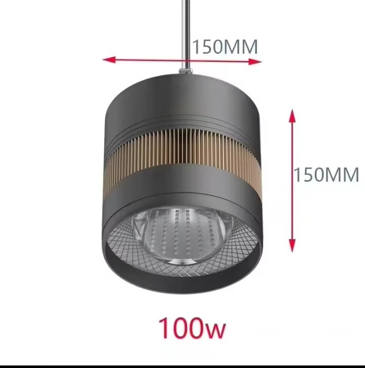 Mayin 60/100 W Tatlı Su Akvary - Planted Aquarium For Goldfish incelemesi ve fiyatı