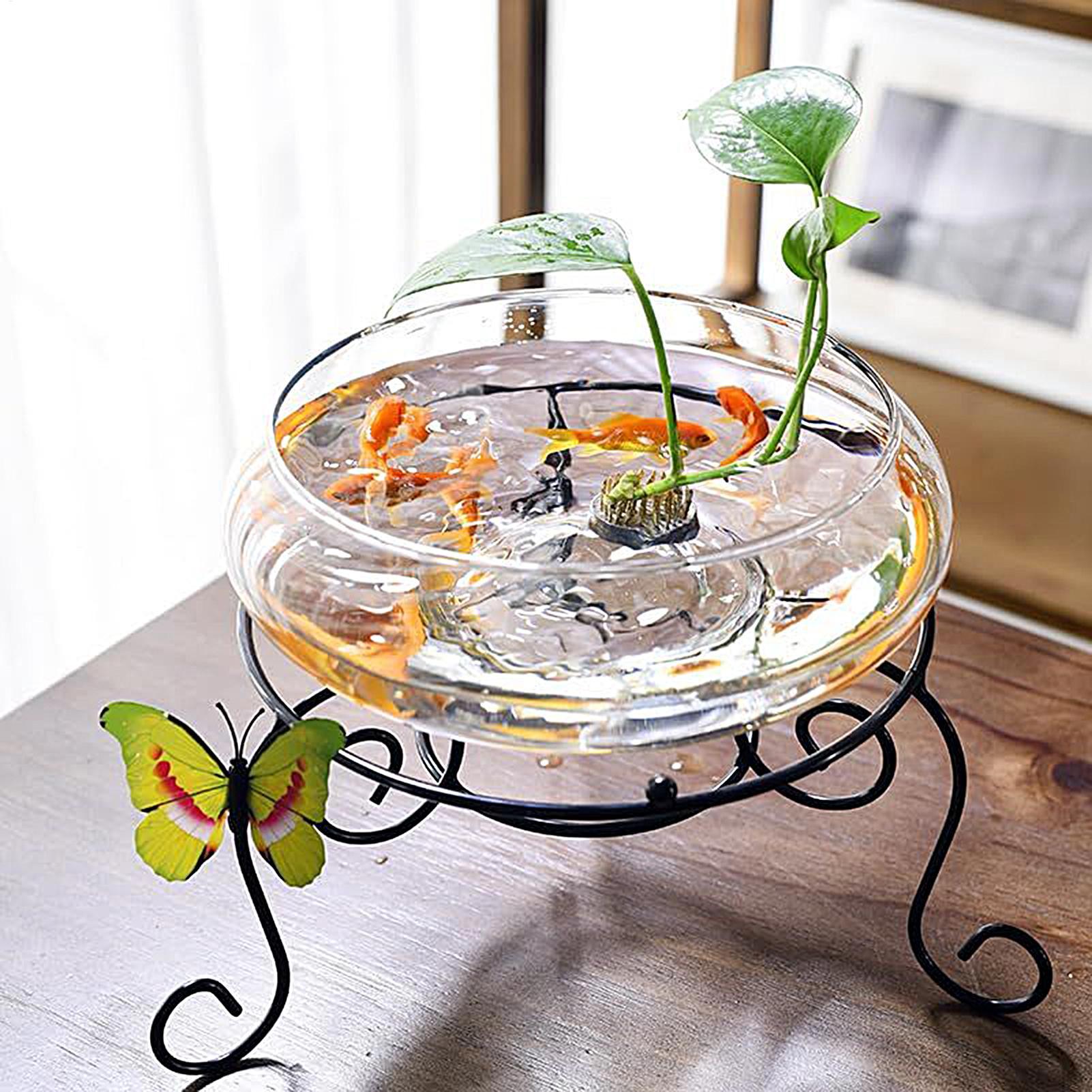 Balık Cam Kase Büyük Hidroponi - Planted Aquarium For Goldfish incelemesi ve fiyatı