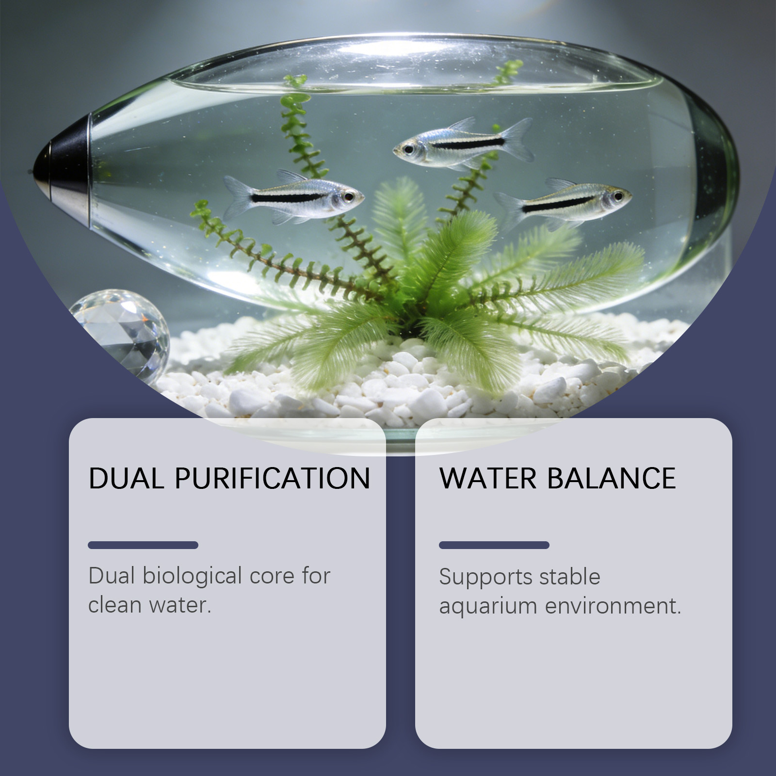 Akvaryum için Alg Giderici Tab - Planted Aquarium Algae Control incelemesi ve fiyatı
