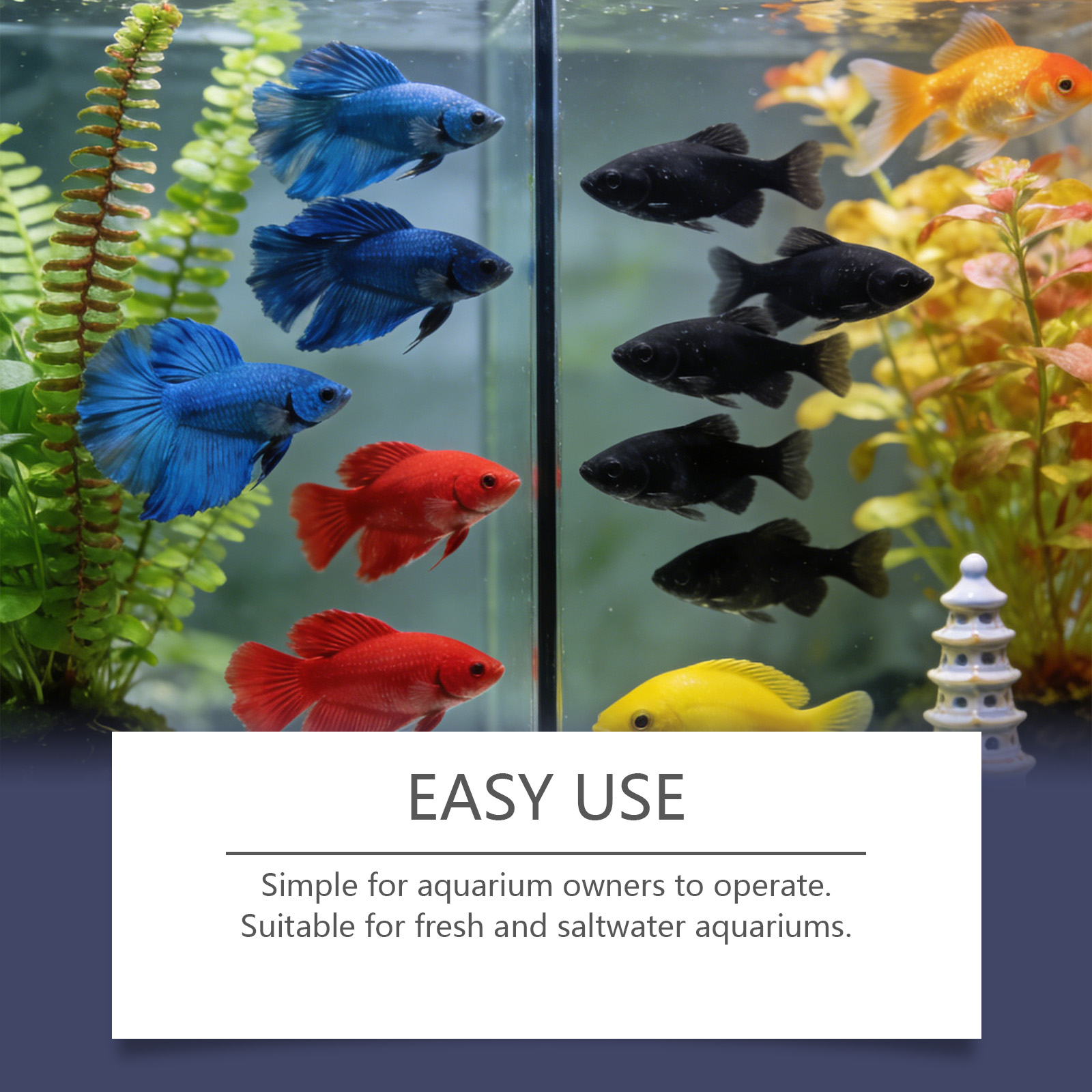 Akvaryum için Alg Giderici Tab - Planted Aquarium Algae Control incelemesi ve fiyatı