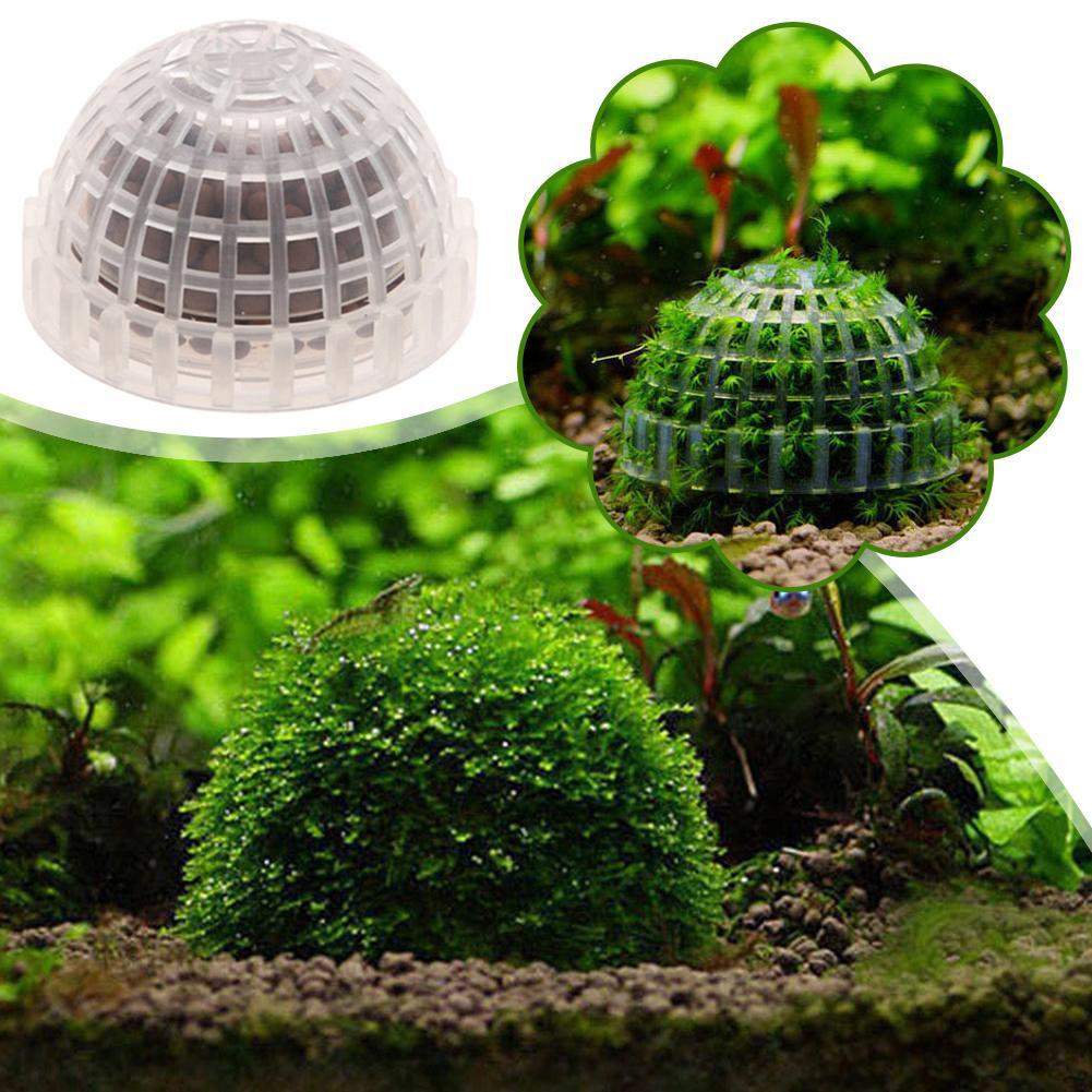 1 adet su evcil hayvan malzeme - Planted Aquarium Maintenance incelemesi ve fiyatı