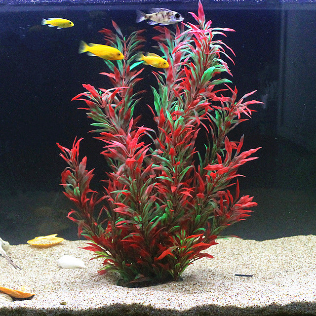 50 CM Yapay Balık Tankı Nadir  - Aquarium Plant Nursery incelemesi ve fiyatı