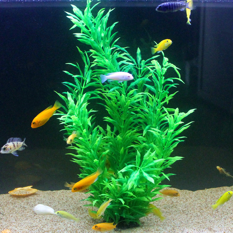 50 CM Yapay Balık Tankı Nadir  - Aquarium Plant Nursery incelemesi ve fiyatı