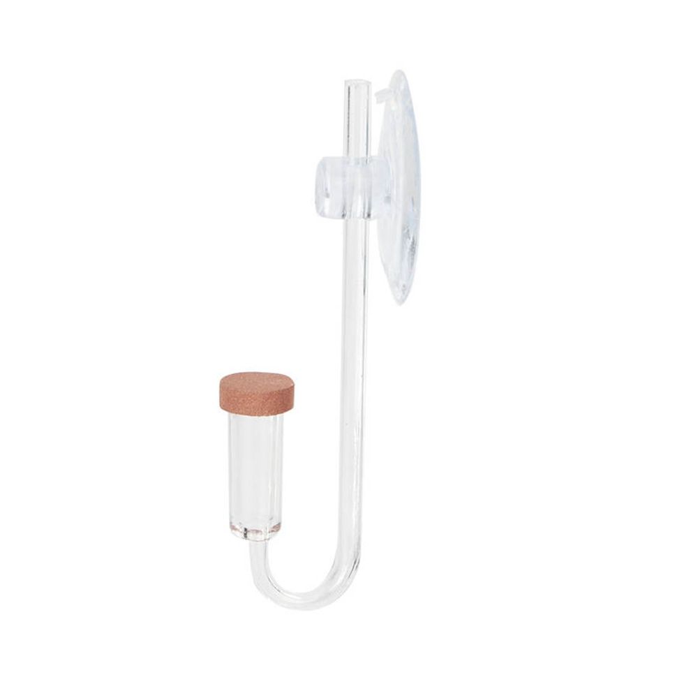 Akrilik Mini Balık Tankı Canlı - Planted Aquarium Maintenance incelemesi ve fiyatı