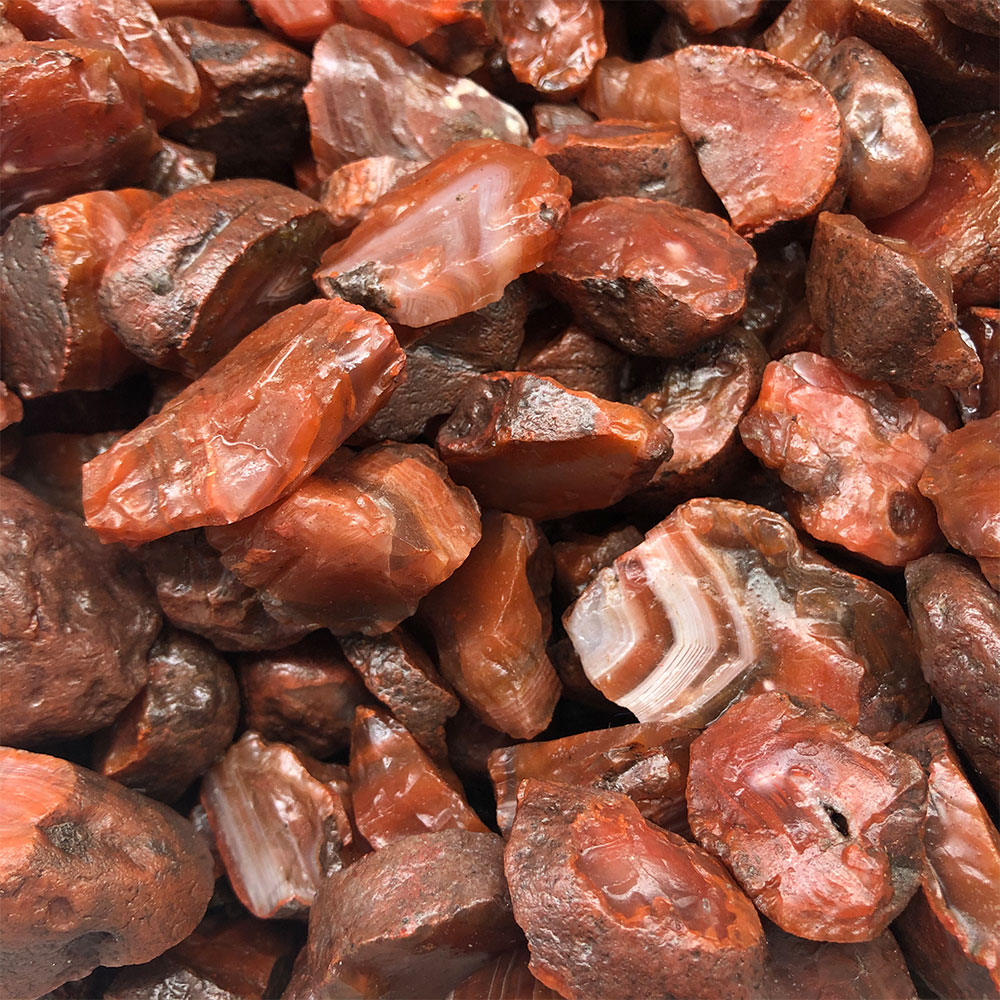 1 adet Rastgele Kaba Ham Carne - Aquarium Plant Red incelemesi ve fiyatı