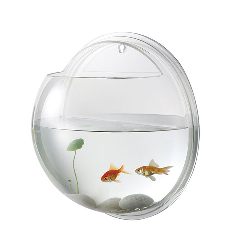 Duvara Monte Akrilik Balık Tan - Planted Aquarium For Goldfish incelemesi ve fiyatı